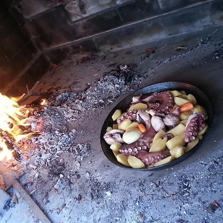 Tara سومارتين